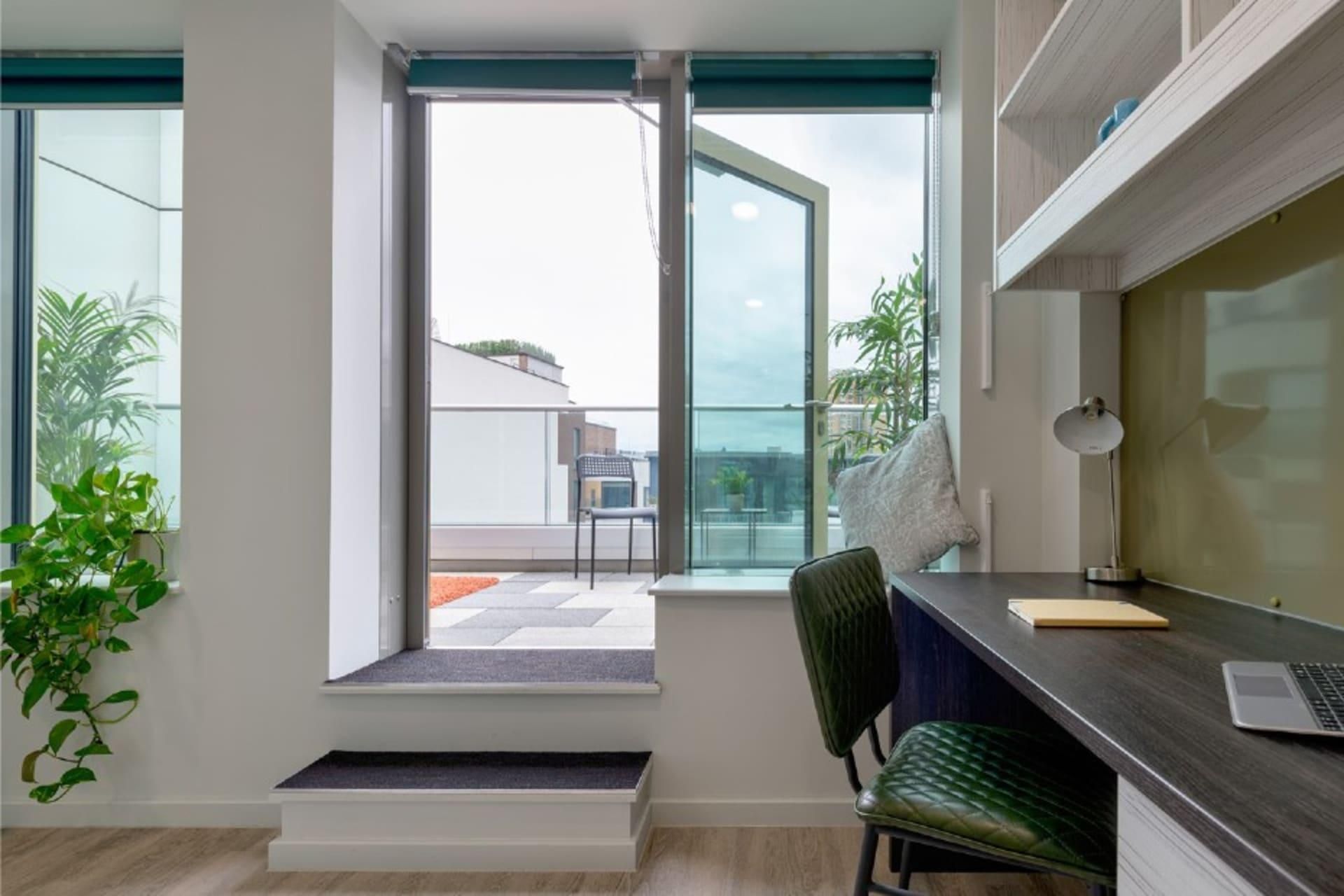 Premium Terrace Studio